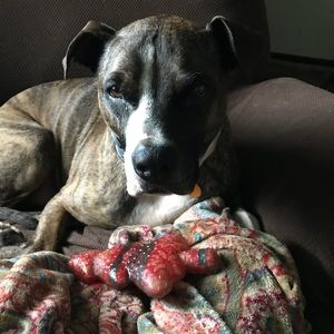 Meet your Posher, Lynn